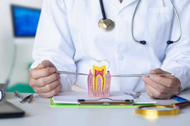 Best Emergency Dental Care for Broken or Chipped Teeth in Wayne, PA